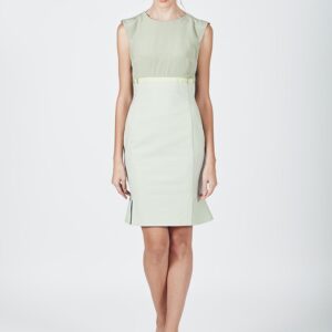 Sheath Dress